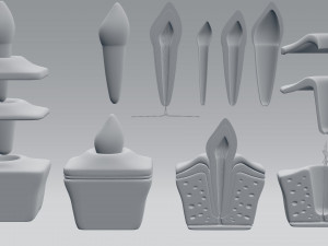 tooth anatomy Model 3D