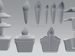 tooth anatomy 3D Model
