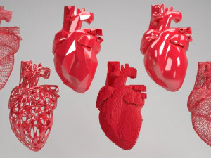 दिल 3D मॉडल
