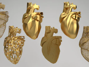 heart 3D Model