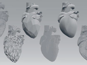 heart 3D Model
