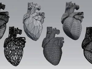 heart 3D Model