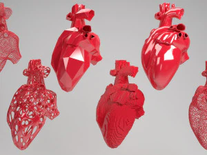heart 3D Model