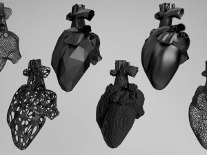 heart 3D Model