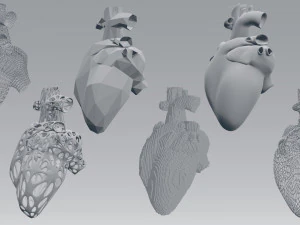 heart 3D Model