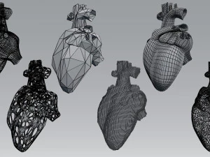 heart 3D Model