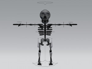 cartoon skeleton 3Dモデル