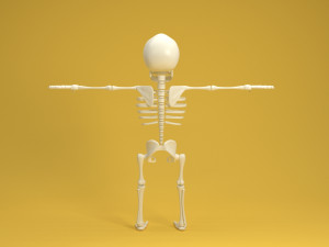 cartoon skeleton 3Dモデル