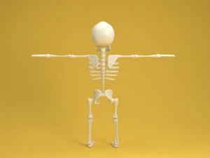 karikat&uuml;r iskelet 3D Model