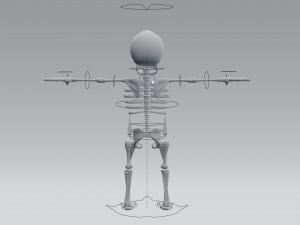 cartoon skeleton 3Dモデル