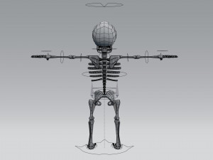 cartoon skeleton 3Dモデル