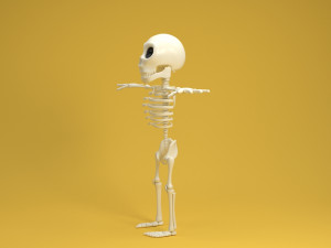 cartoon skeleton 3Dモデル