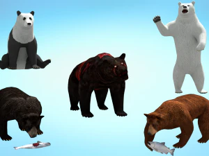 5 in 1 realistic bear pack 3D Model