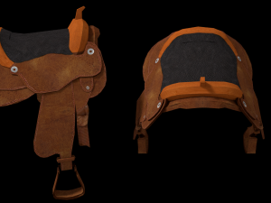 5 in 1 realistic bear pack 3Dモデル