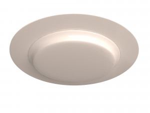 empty plate Modèle 3D