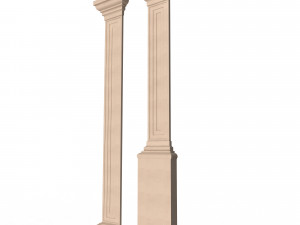interior-exterior pilasters 3D Model