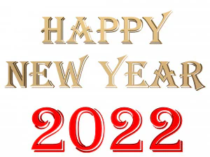 happy new year 2022 01 3D Model