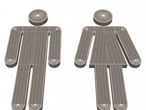 male and female symbol 3D Model