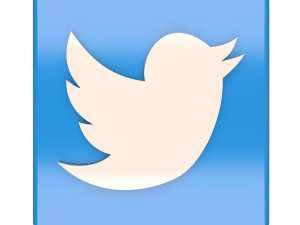 Social Media Logo 3D Model