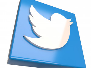 Social Media Logo Model 3D