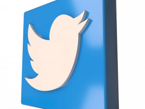 Social Media Logo Model 3D