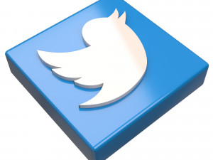 Social Media Logo Model 3D
