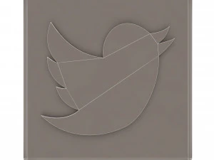 Social Media Logo 3D Model