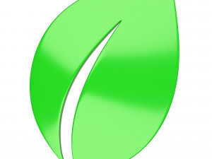 Leaf Symbol 3D Model