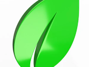 Leaf Symbol 3D Model
