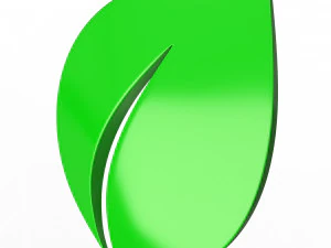 Leaf Symbol 3D Model