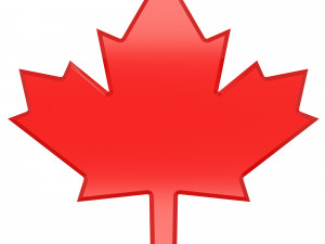 Maple Leaf 3Dモデル