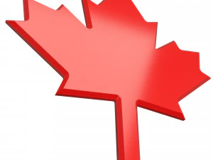 Maple Leaf 3D Model