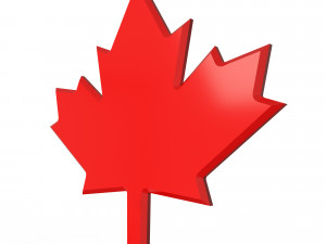 Maple Leaf 3D Модель