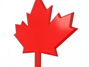 Maple Leaf 3D Model
