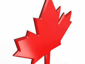 Maple Leaf 3D Model