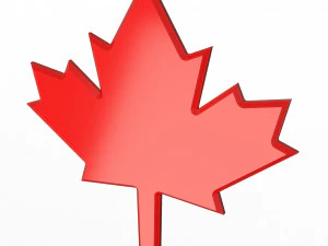 Maple Leaf 3D Model