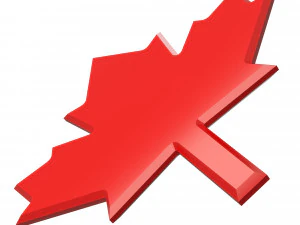 Maple Leaf 3D Model