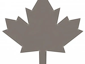Maple Leaf 3D Model