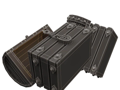 가슴 보물 열림 3D 모델