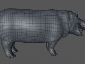 3d hippopotam model 3D Model