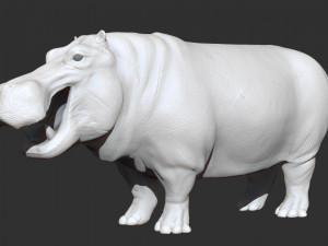 3d hippopotam model 3D Model