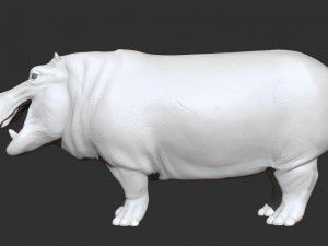 3d hippopotam model 3D Model