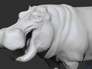 3d hippopotam model 3D Model