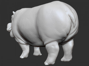 3d hippopotam model 3D Model