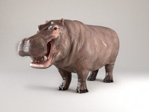 3d hippopotam model 3D Model