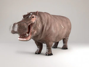 3d hippopotam model 3D Model