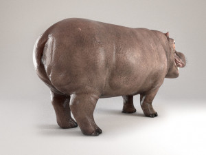 3d hippopotam model 3D Model