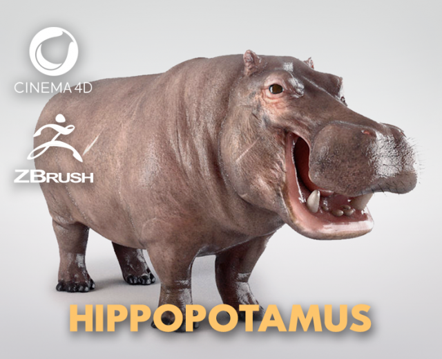 3d hippopotam model 3D Model .c4d .max .obj .3ds .fbx .stl .blend 