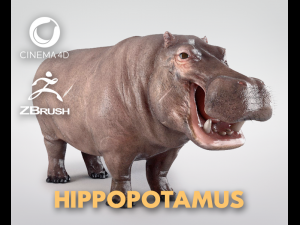 3d hippopotam model 3D Model