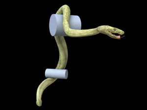 3d green boa model 3D Model